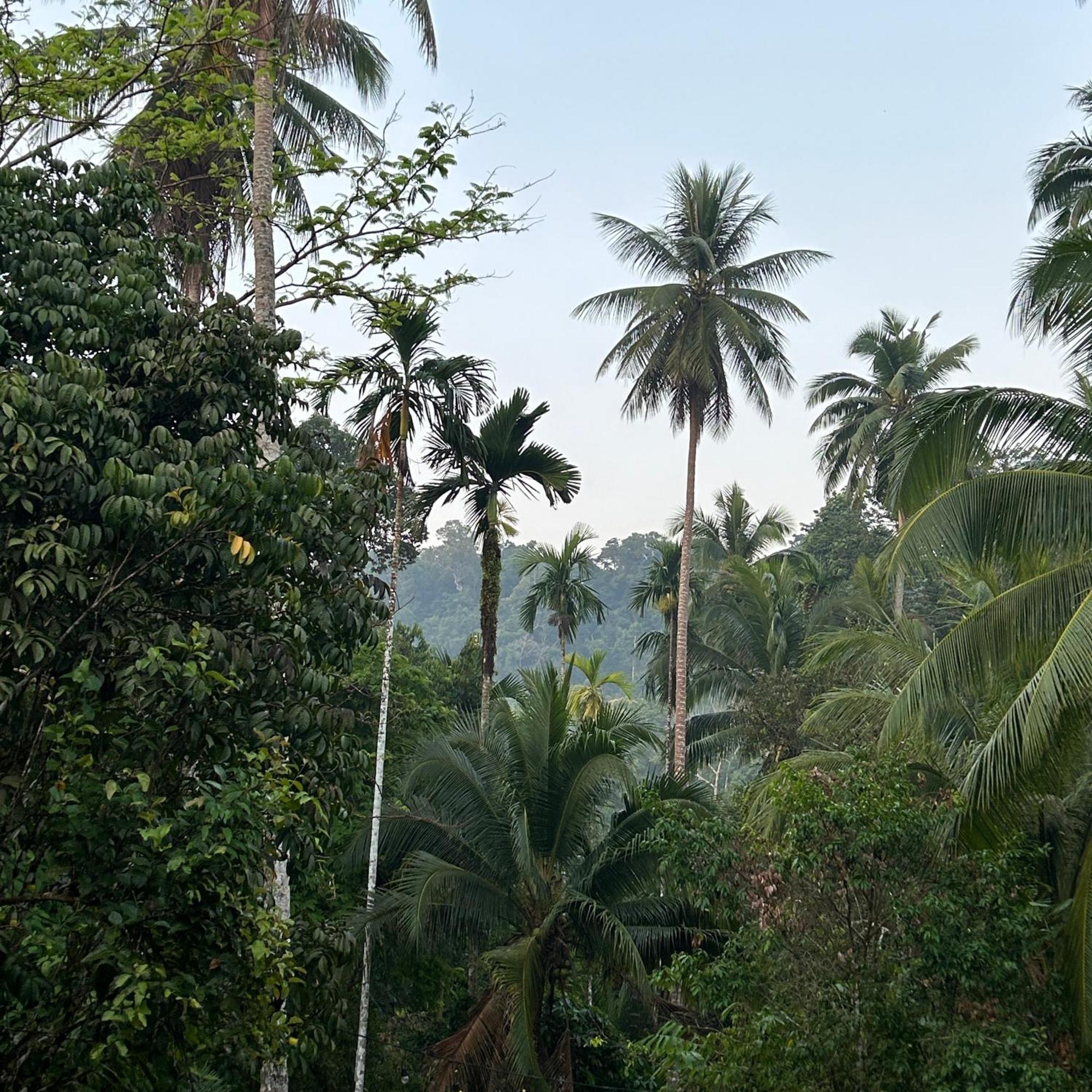 Forestel Homestay Kohkood ฟอเรสเทล โฮมสเตย์ เกาะกูด Ban Khlong Chao Exterior photo
